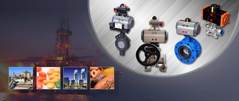 Angular Stroke Pneumatic Actuatorapplication Angular Stroke Pneumatic Actuatorapplication