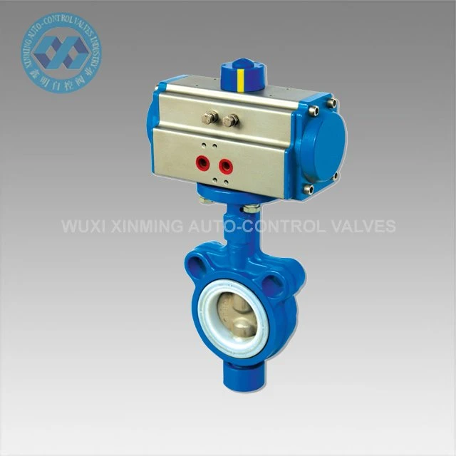 Injap Rama-rama Wafer