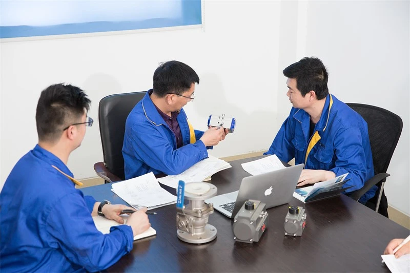 Professional Technical Team